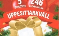 Bingolott, enkel